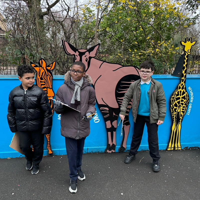 Ruby at London Zoo
